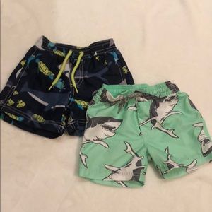 Baby boy swim trunks